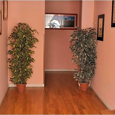 Guest house Gialel Rome