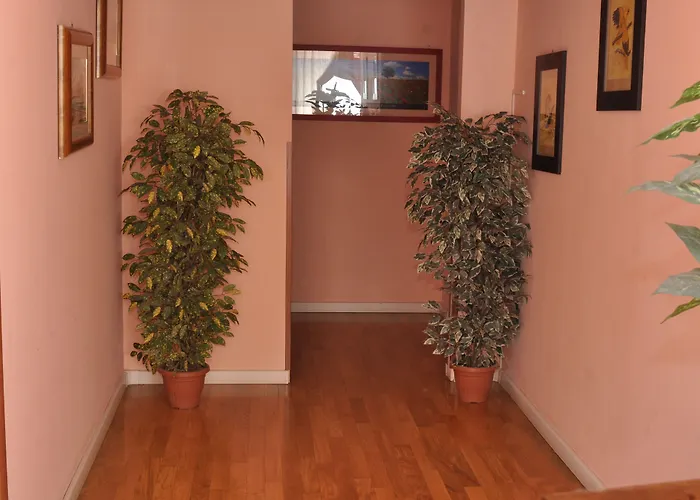 Guest house Gialel 2*